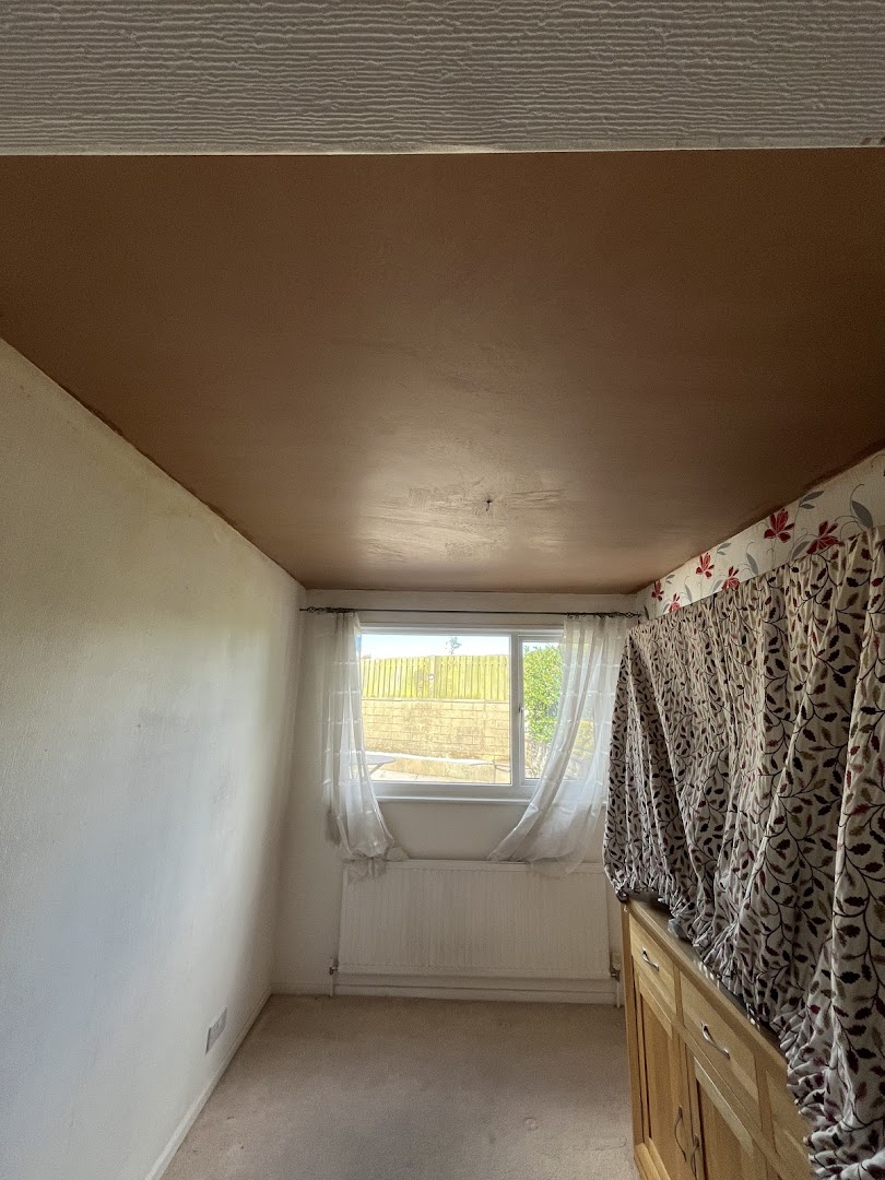 Richard Bitner THE PLASTERER Halifax — Photos 11